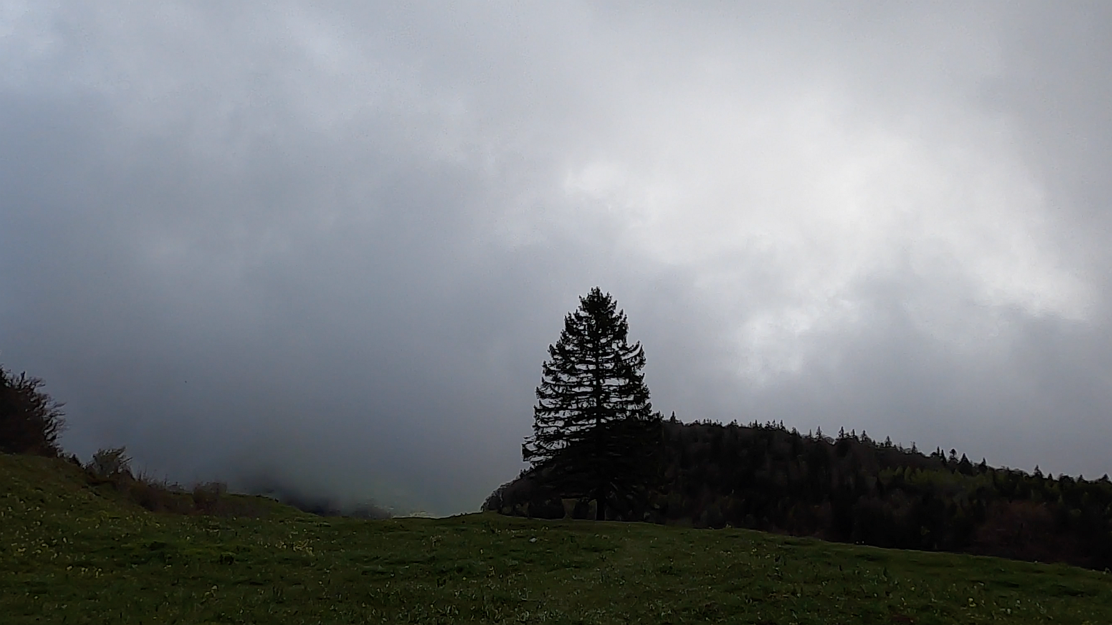 22_22. Mai 21_G Wanderung Grenchenberg (106).png